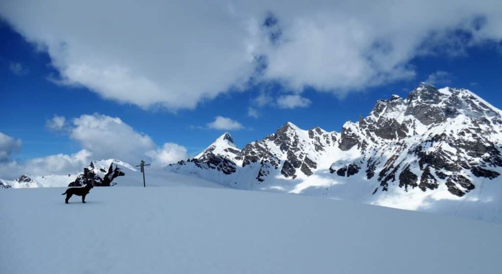 Scopri di più sull'articolo Monte Cazzola da Alpe Devero