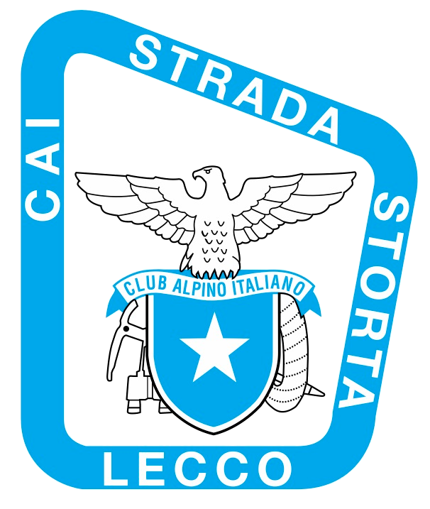 LOGO fondo trasparente