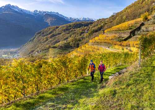 Sentiero Dei Terrazzamenti - Teglio/Tirano