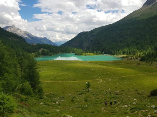 Alpe Grum