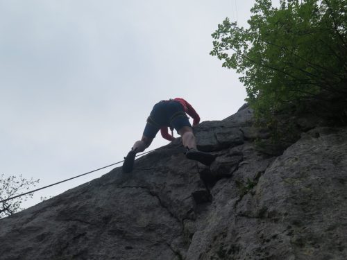 IMG 2601