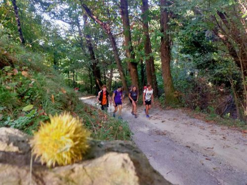 IMG-20231016-WA0155