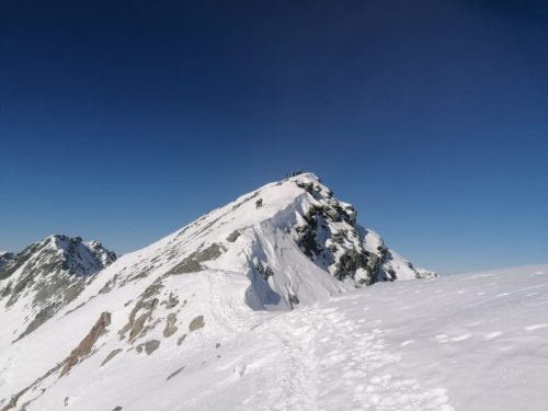 IMG-20230212-WA0006