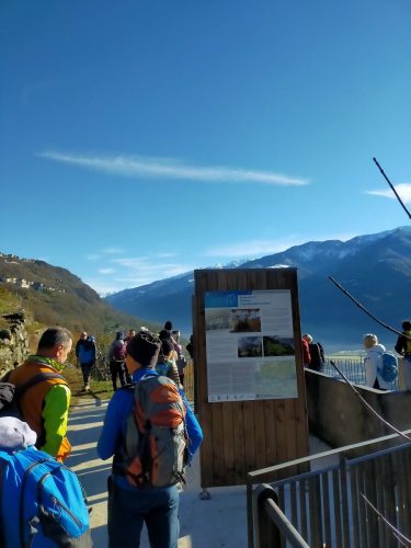 IMG202312031154071