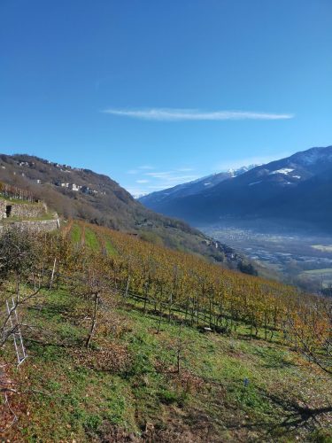IMG202312031157171