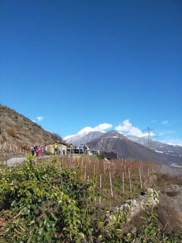IMG202312031340581