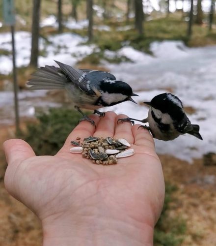 Im-WhatsApp-2023-04-02-ore-19.10.20