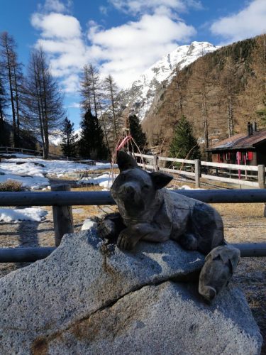 Immagine-WhaApp-2023-04-02-ore-19.10.24