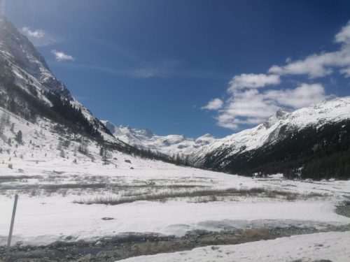 Immagine-What2-ore-19.11.18