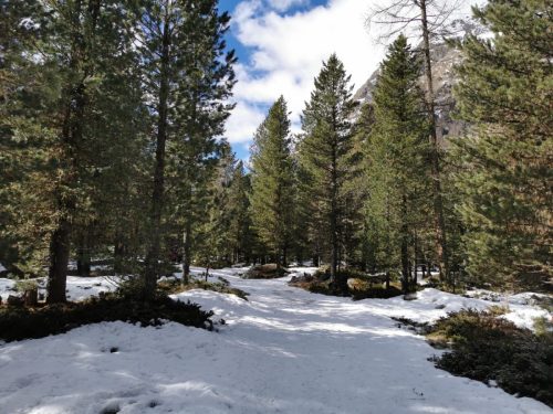 Immagine-WhatsAp-2023-04-02-ore-19.10.24