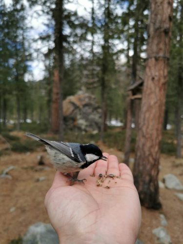 Immagine-WhatsAp4-02-ore-19.10.21