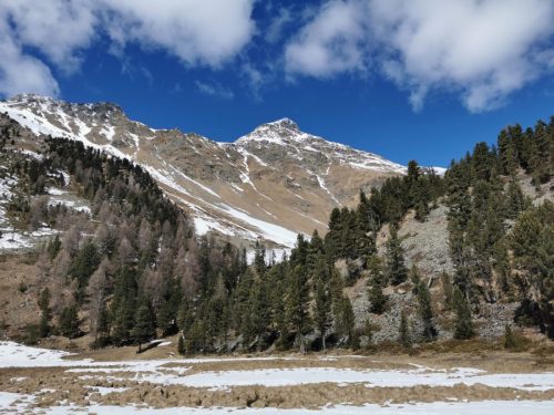 Immagine-WhatsApp-2023-04-02-19.10.22