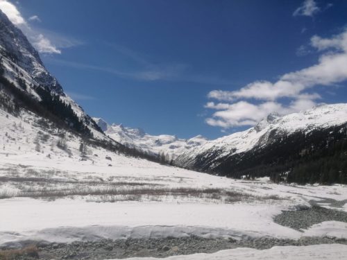 Immagine-WhatsApp-2023-04-02-ore-12.20.43