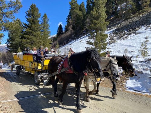 Immagine-WhatsApp-2023-04-02-ore-12.21.13