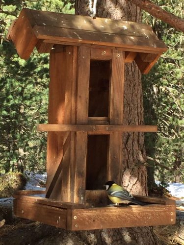 Immagine-WhatsApp-2023-04-02-ore-18.13.03