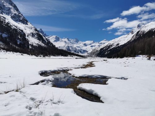 Immagine-WhatsApp-2023-04-02-ore-19.10.22