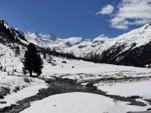 Immagine-WhatsApp-2023-04-02-re-19.10.22