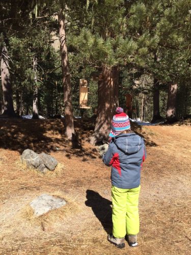 Immagine-WhatsApp-203-04-02-ore-18.13.07