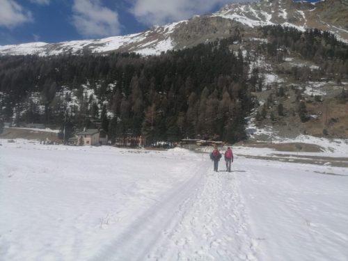 Immagine-WhatsApp04-02-ore-19.11.17