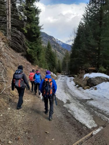 337411439 608874397797504 6589806035655012865 n