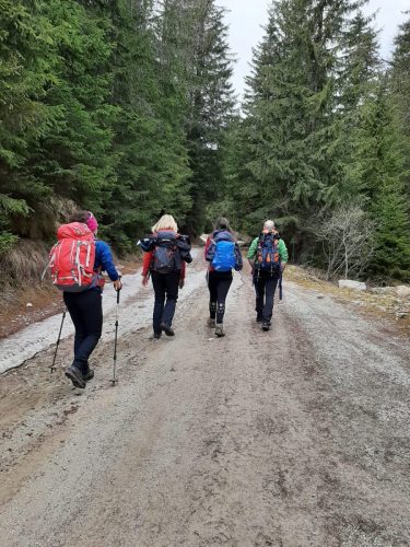 337533455 248294764290520 7788209912621955786 n