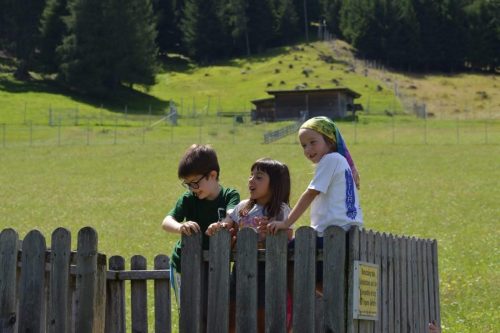 IMG-20230808-WA0253