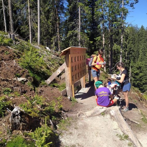 IMG-20230811-WA0018