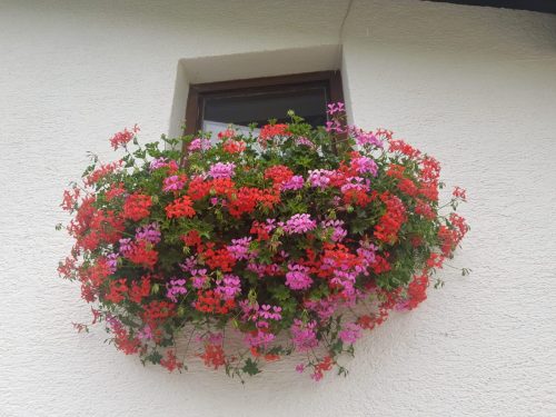 IMG-20230812-WA0079