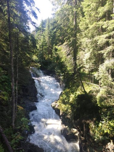 IMG-20230816-WA0061