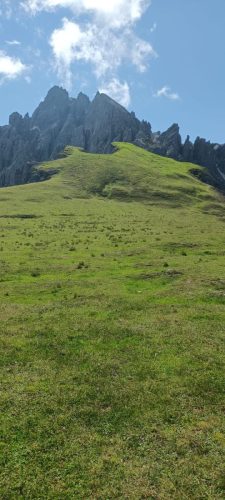 IMG-20230816-WA0113