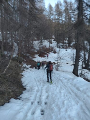 IMG-20240317-WA0012