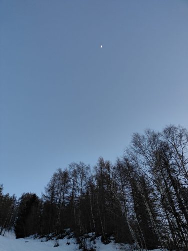 IMG20240316183507
