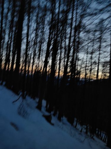 IMG20240316184355