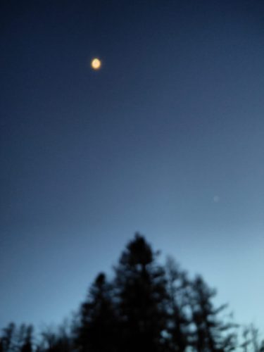 IMG20240316190512