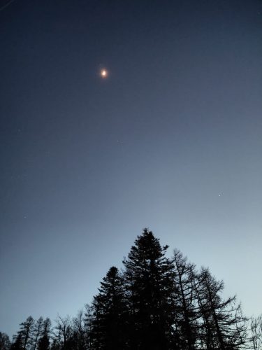 IMG20240316190519
