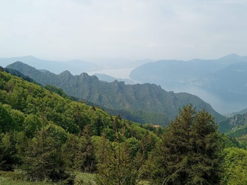 IMG-20240513-WA0011