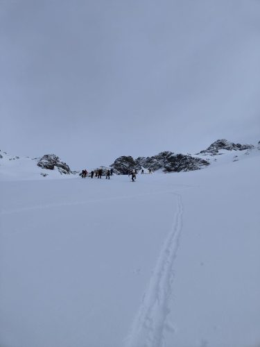 IMG20240421084249