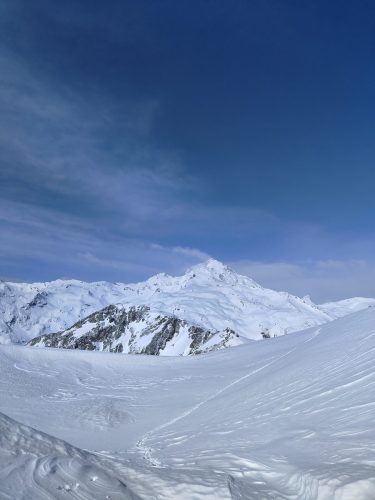 IMG20240421092911
