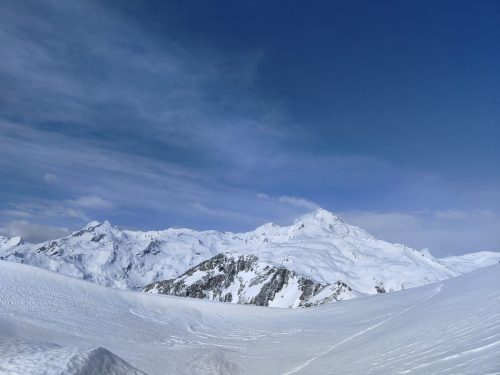 IMG20240421092914
