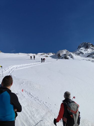 IMG20240421093147