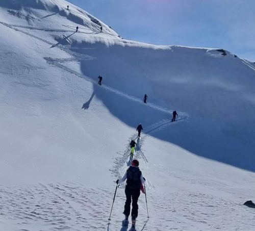 Raduno Suretta Cai Strada Storta 202404021 1