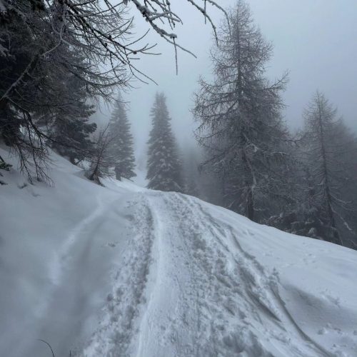 430034925 918935233567654 7178948463551160055 n