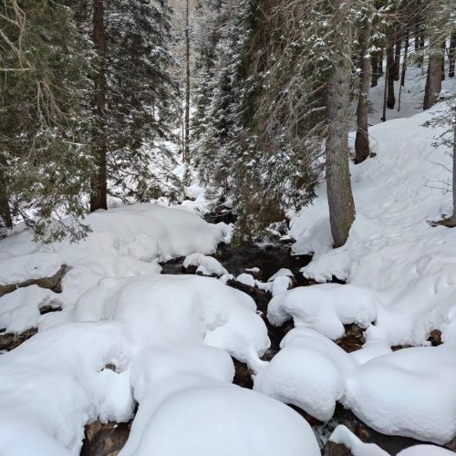 430045509 918843506910160 5121520430173486620 n