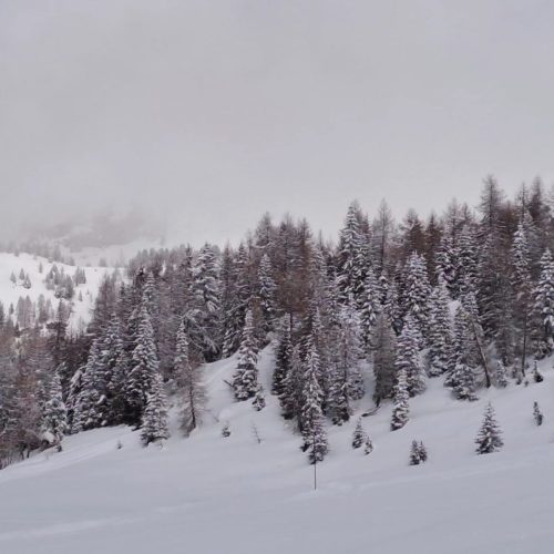 430076291 918850486909462 2413851354834381276 n