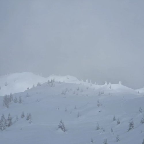 430086655 918850476909463 3731012983335495616 n