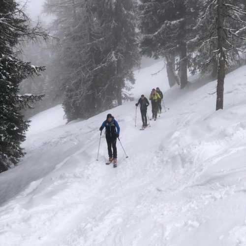 430096920 918928813568296 7635793439419543455 n