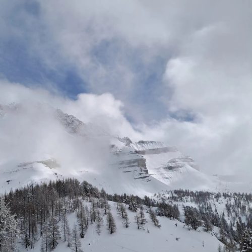 430102473 918850466909464 5212341811940224689 n