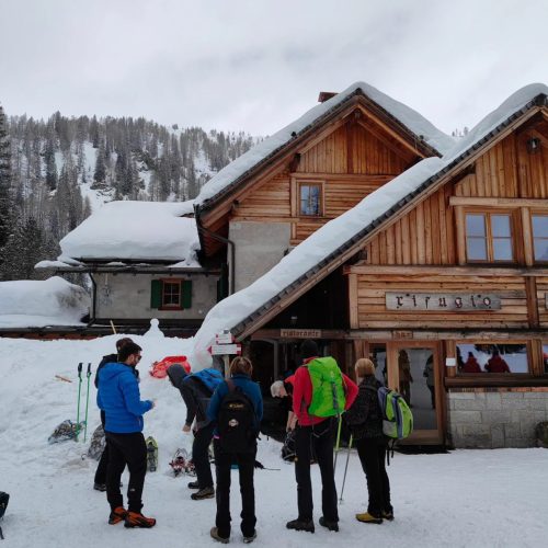 430122976 918843500243494 1828632747561715069 n