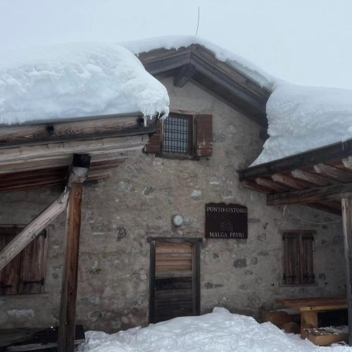 430124465 918935226900988 2803861790657866824 n