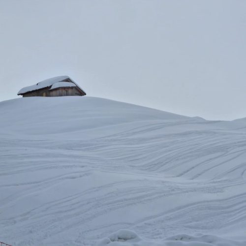 431712451 918850463576131 4560947245342133651 n